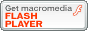 Flash Player Download